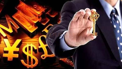 北京鴻晟興業(yè)信息咨詢服務(wù)有限責任公司 金融信息咨詢的專業(yè)服務(wù)